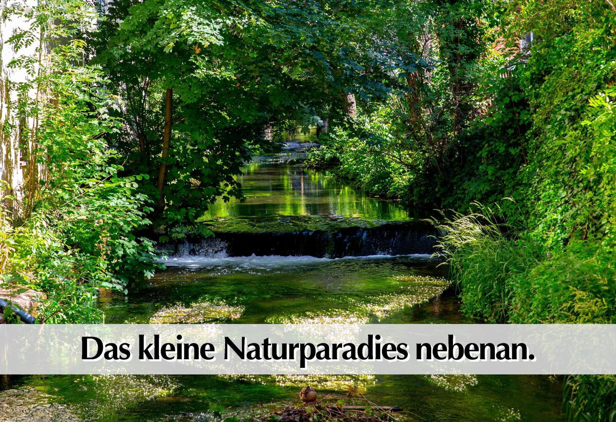 Stadtperle Am Plaetschernden Wasser - 50M2 2R Malerische Fewo In Top Lage Ерфурт Екстер'єр фото